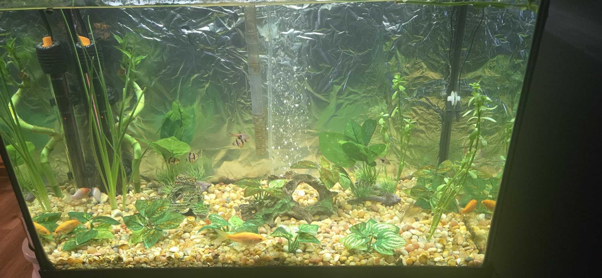 Orlushy Submersible Aquarium Heater, Adjustable Fish Tahk Heater with Free Thermometer Suitable for Marine Saltwater and Freshwater customer photo 1