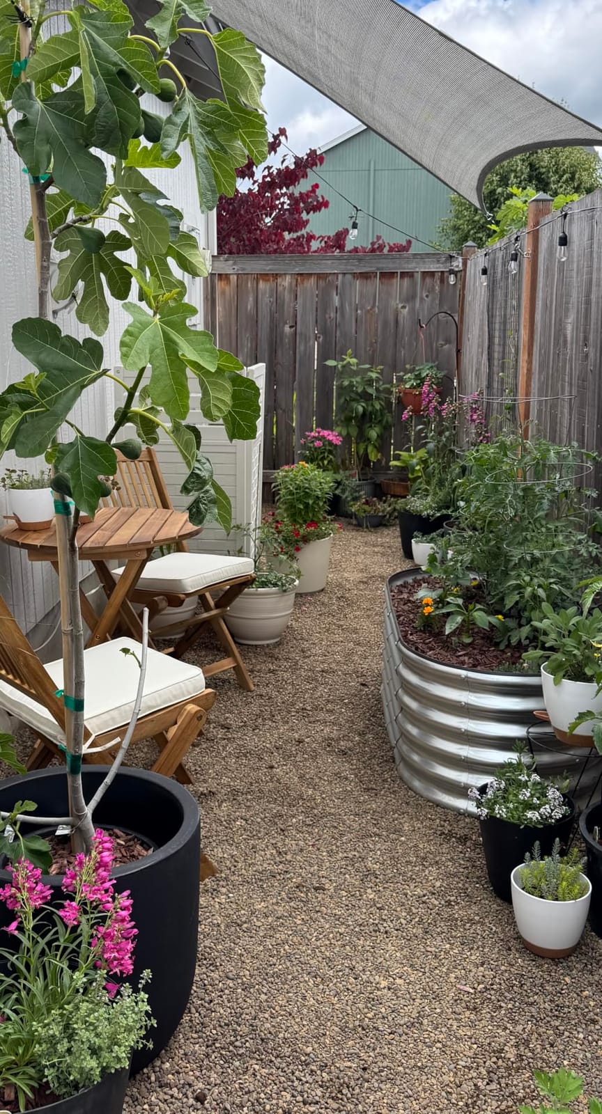 Rain Bird LNDDRIPKIT Drip Irrigation Kit customer photo 1