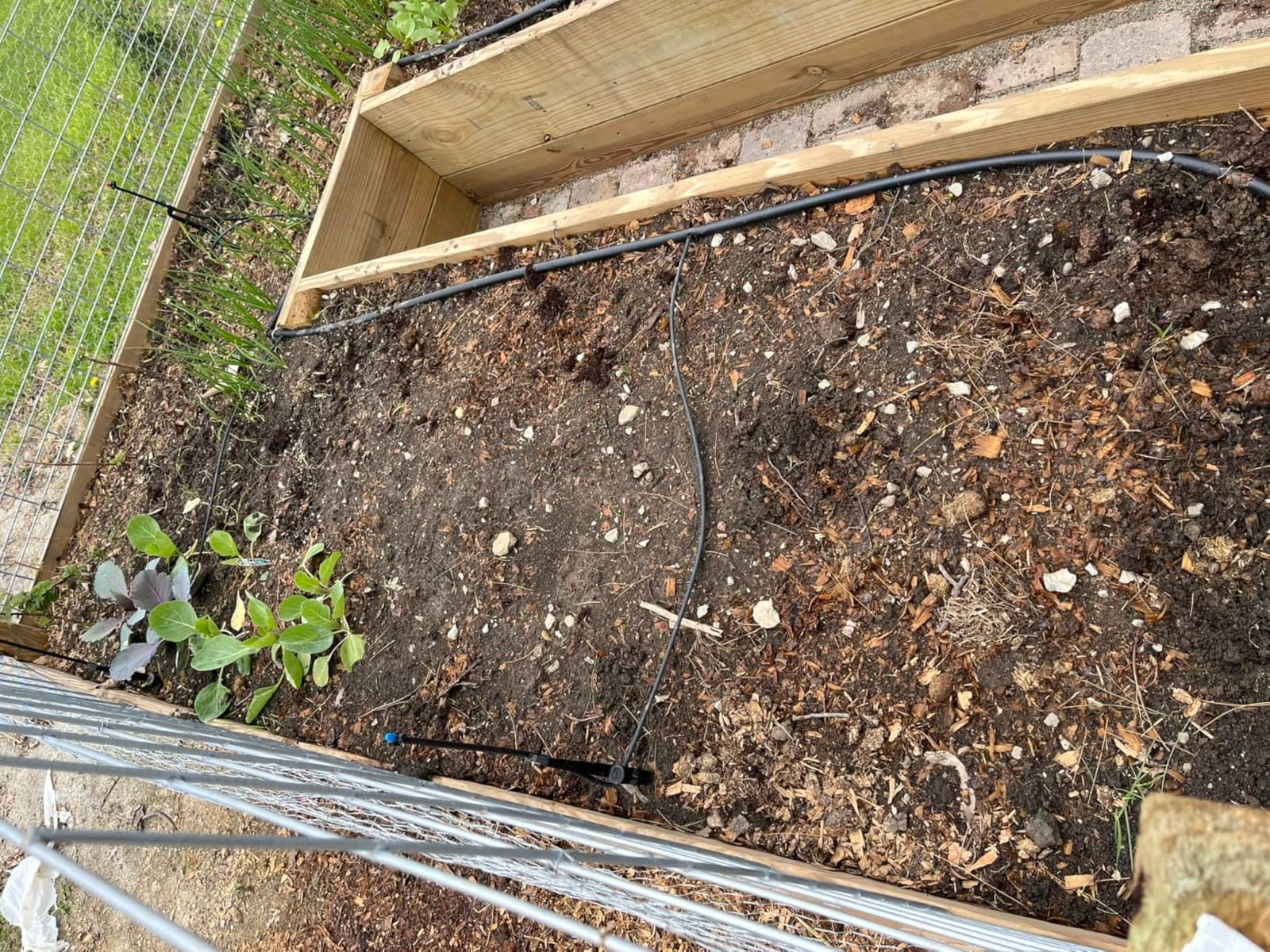 Rain Bird LNDDRIPKIT Drip Irrigation Kit customer photo 2