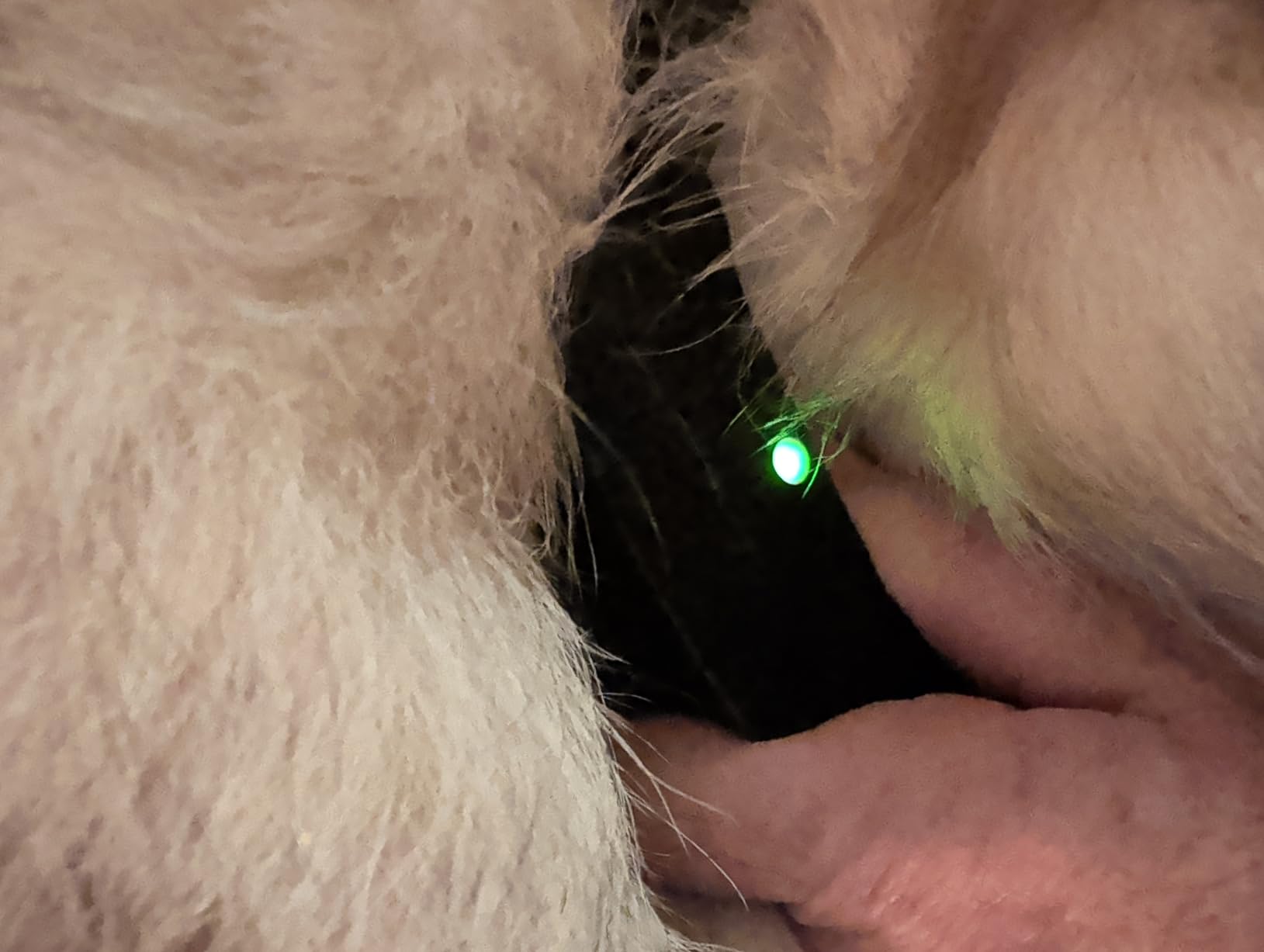 SportDOG Brand Rechargeable In-Ground Fence System - Waterproof, Rechargeable Collar with Tone, Vibrate, and Static - Expandable to Contain Unlimited Dogs customer photo 2