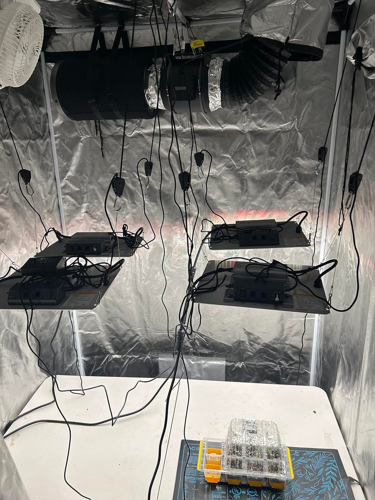 Spider Farmer SF1000 LED Grow Lights for Indoor Plants in 2x2/3x3 Grow Tent | 100W Dimmable Full Spectrum Grow Light, New-Gen High-Efficiency Diodes 2.5 PPE System for Seed Starting, Vegetables & Bloom customer photo 2
