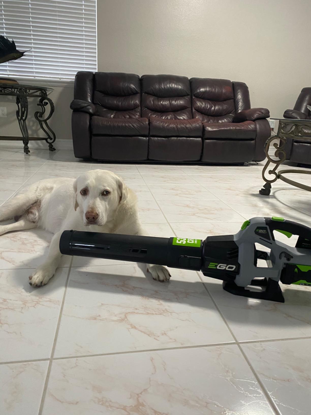 EGO Power+ 56-Volt 15
