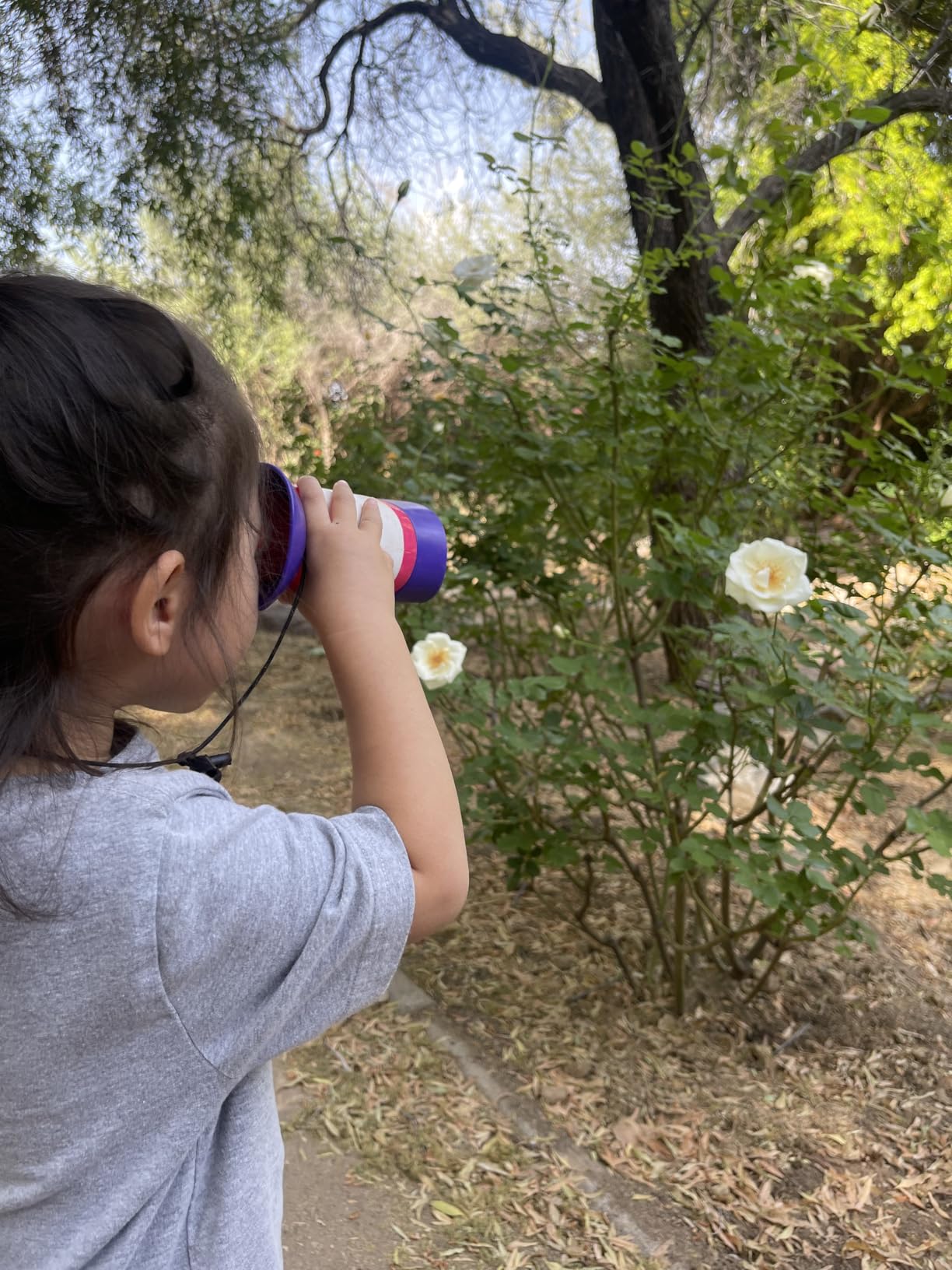 Educational Insights GeoSafari Kidnoculars Pink - Toy Binoculars for Kids, Outdoor Toys for Kids Ages 4-8, Toddler Camping and Nature Toys, Lightweight Binoculars with Neck Strap, Bird Watching Gear customer photo 2