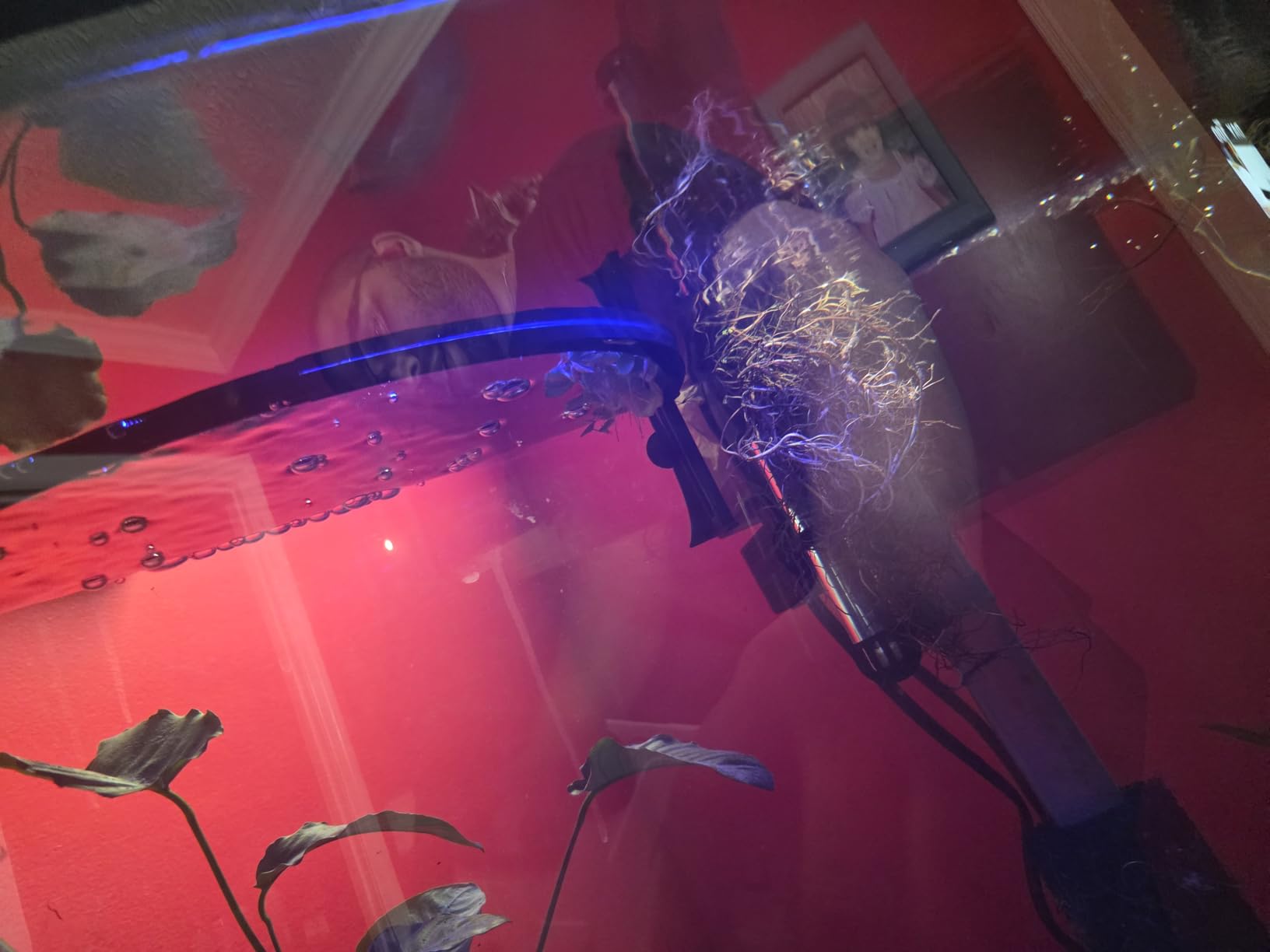 Plant 3.0 LED Planted Aquarium Lighting, 22 Watts, 15-24 Inches customer photo 1