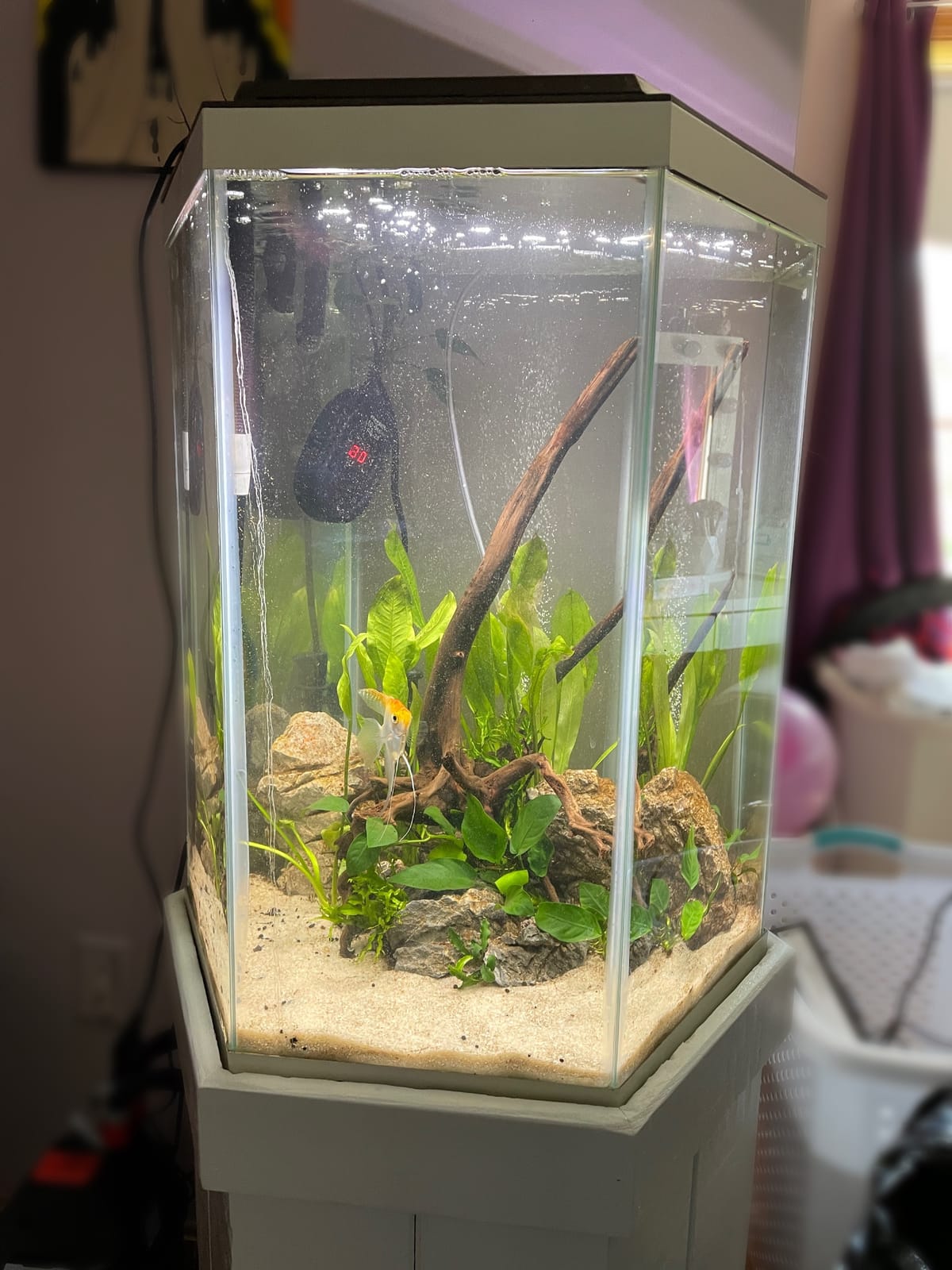 Plant 3.0 LED Planted Aquarium Lighting, 22 Watts, 15-24 Inches customer photo 2