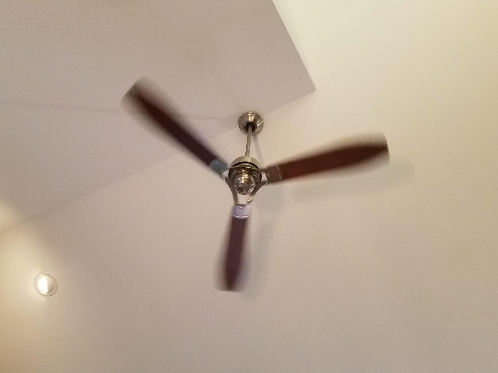 Hunter Trimaran, Outdoor or Indoor, Ceiling Fan, 52 inch, Fresh White | No Light, Standard Mount, Wall Control, 3 Blades, For Living Room, Patio, Porch, Garage, 59610 customer photo 1