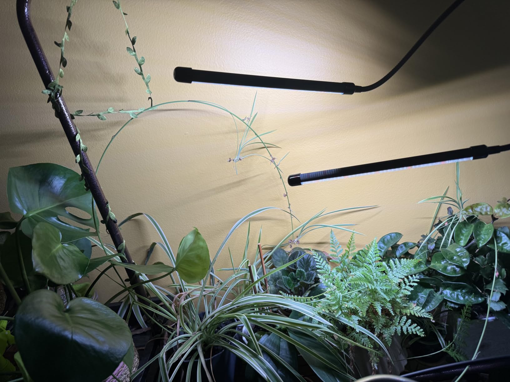 GooingTop LED Grow Light,6000K Full Spectrum Clip Plant Growing Lamp with White Red LEDs for Indoor Plants,5-Level Dimmable,Auto On Off Timing 4 8 12Hrs customer photo 2