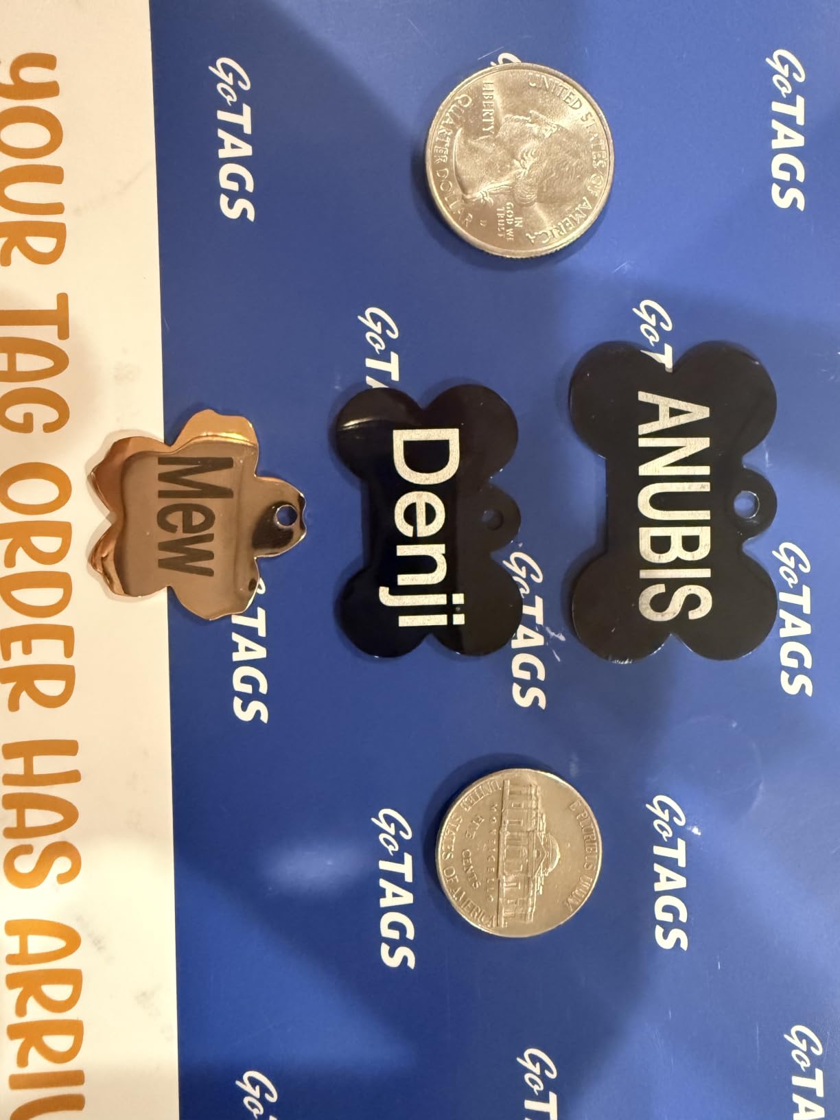 GoTags Stainless Steel Pet ID Tags, Personalized Dog Tags and Cat Tags customer photo 1