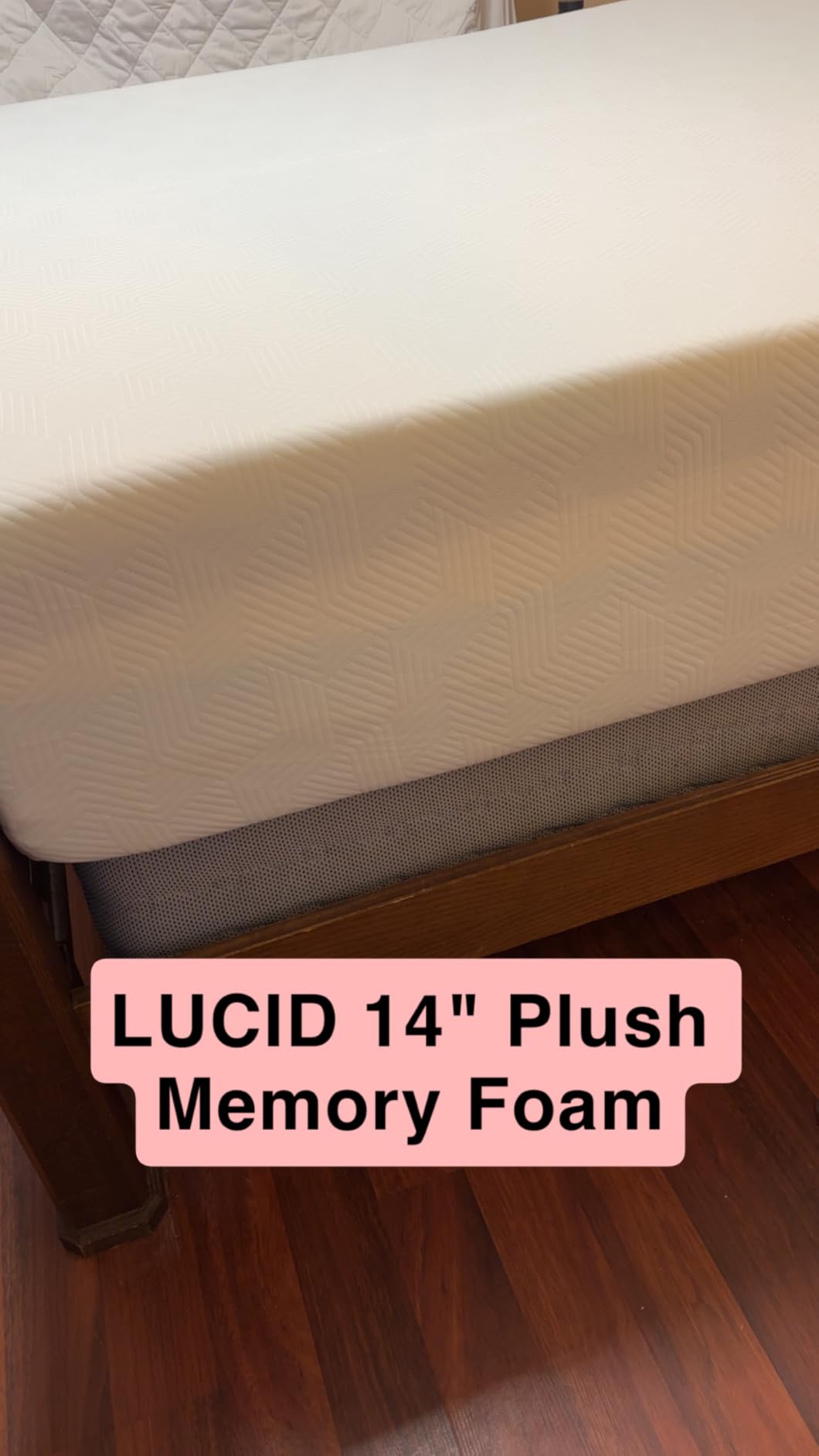 Lucid 12