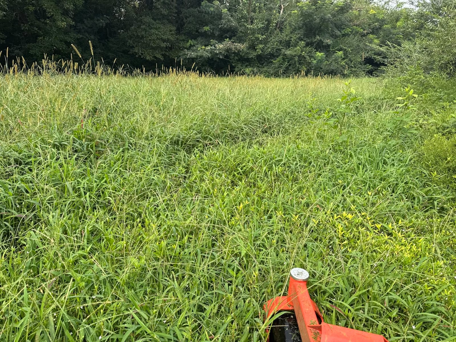 Ariens Zenith 60 (60