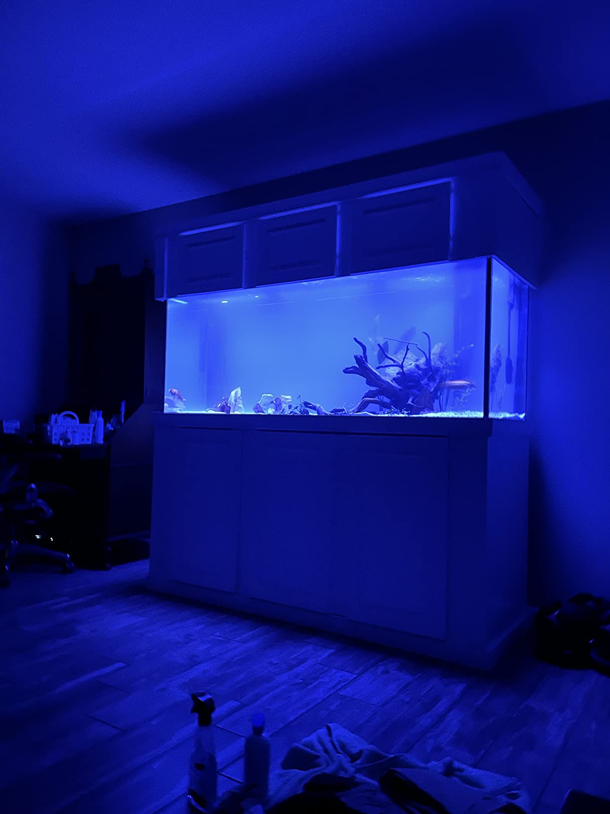 Current USA 24-36 Inch Satellite Freshwater LED Plus Full Spectrum RGB+W Light for Aquariums, Wireless 24 Hour Remote Control Fish Tank Lighting customer photo 1