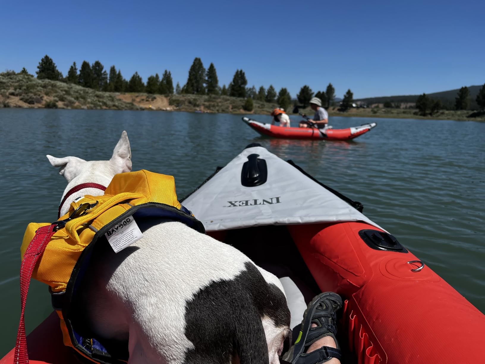 INTEX 68303EP Excursion Pro K1 Inflatable Kayak Set: Includes Deluxe 86in Kayak Paddles and High-Output Pump - SuperTough PVC - Adjustable Bucket Seat - 1-Person - 220lb Weight Capacity customer photo 1