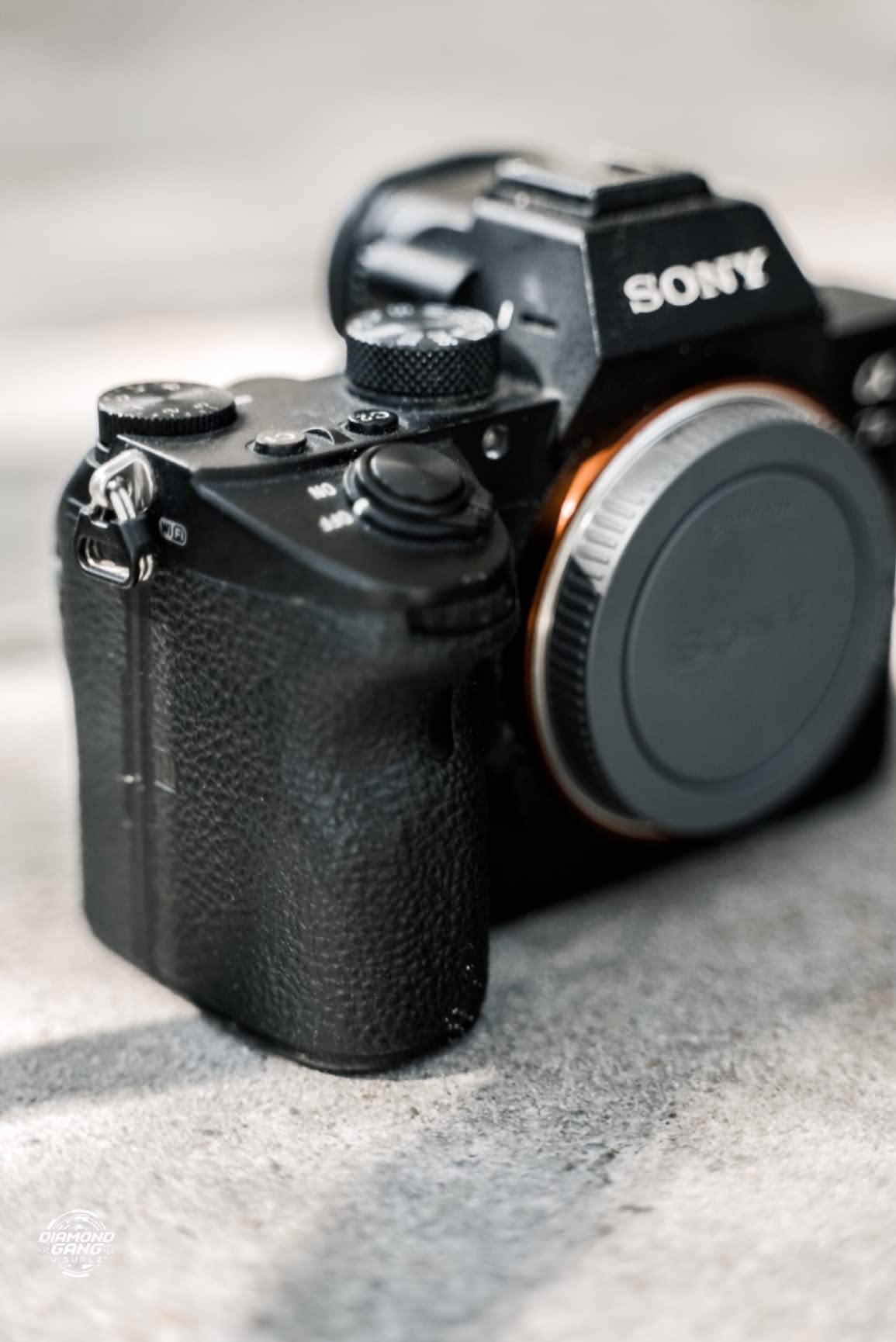 Sony Alpha a7S III Full-Frame Mirrorless Camera Body customer photo 1