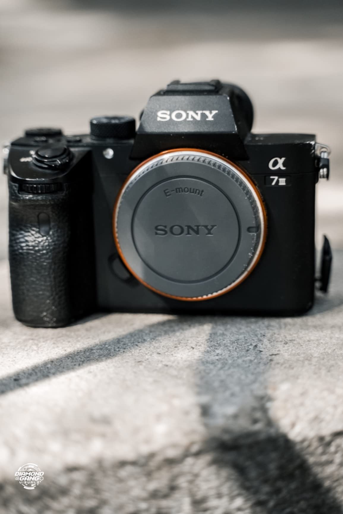 Sony Alpha a7S III Full-Frame Mirrorless Camera Body customer photo 2