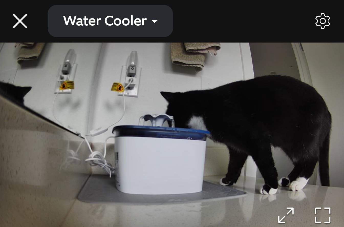 Veken Innovation Award Winner 95oz/2.8L Pet Fountain, Automatic Cat Water Fountain Dog Water Dispenser with Replacement Filters for Cats, Dogs, Multiple Pets (Grey, Plastic) customer photo 1