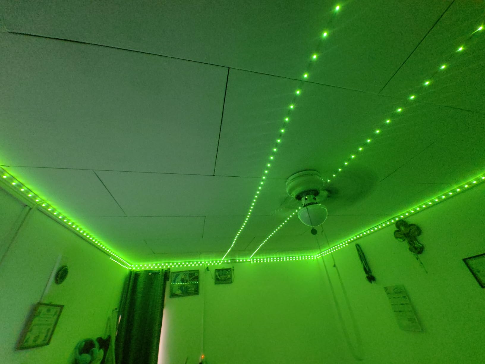 DAYBETTER Smart WiFi Led Lights 100ft, Tuya App Controlled Led Strip Lights, Work with Alexa and Google Assistant, Timer Schedule, Color Changing Led Lights for Bedroom Party Kitchen customer photo 1