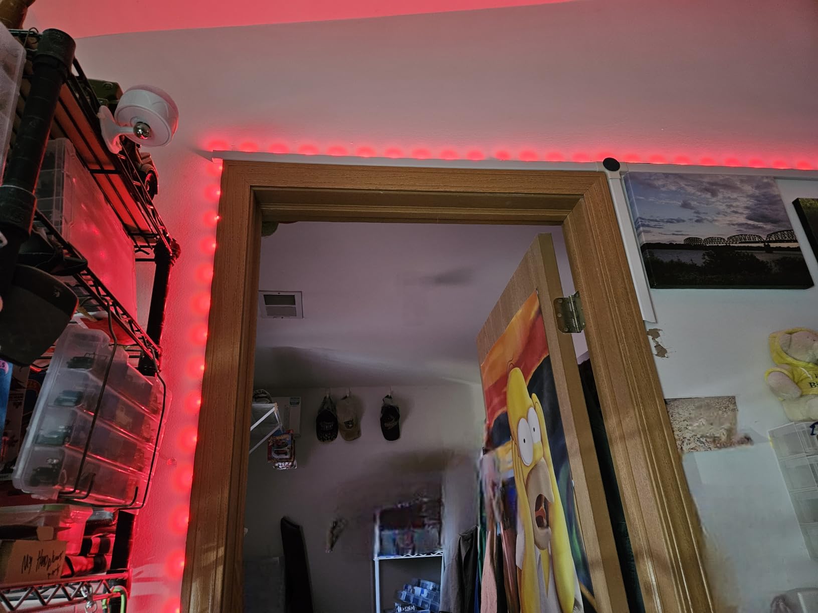 DAYBETTER Smart WiFi Led Lights 100ft, Tuya App Controlled Led Strip Lights, Work with Alexa and Google Assistant, Timer Schedule, Color Changing Led Lights for Bedroom Party Kitchen customer photo 2