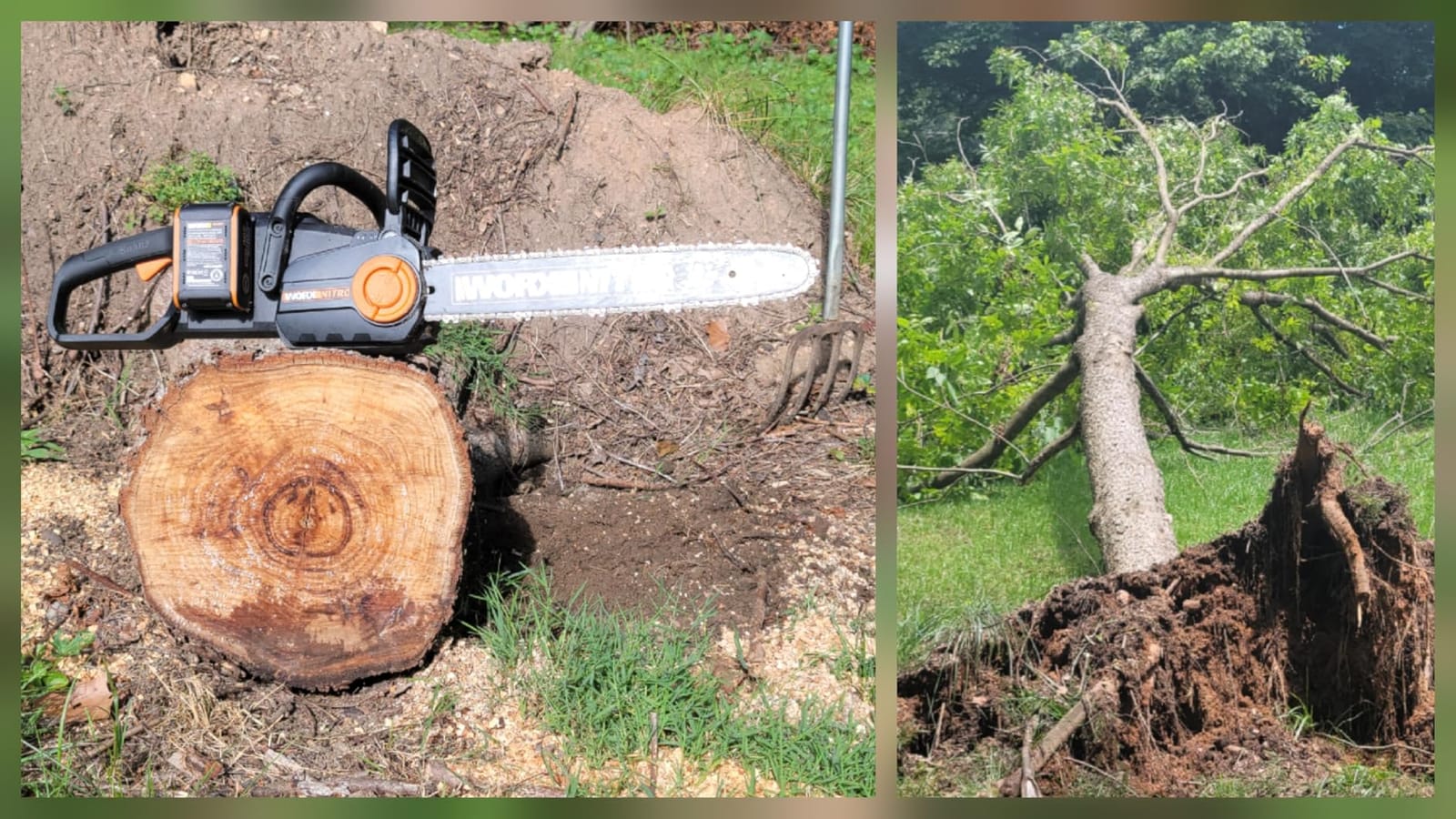 WORX Cordless Chainsaw, 40V 16
