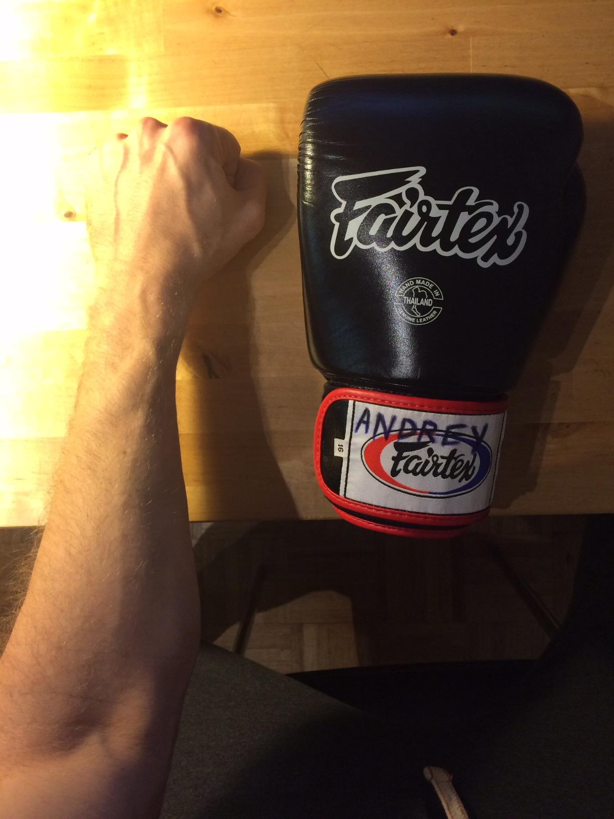 Fairtex BGV1 Muay Thai Boxing Training Sparring Gloves for Men, Women, Kids | Premium Quality, Light Weight & Shock Absorbent Boxing Gloves customer photo 1