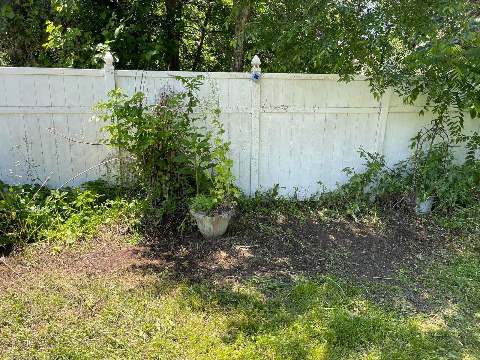 WORKPRO 7.2V Cordless Grass Shear & Shrubbery Trimmer customer photo 1