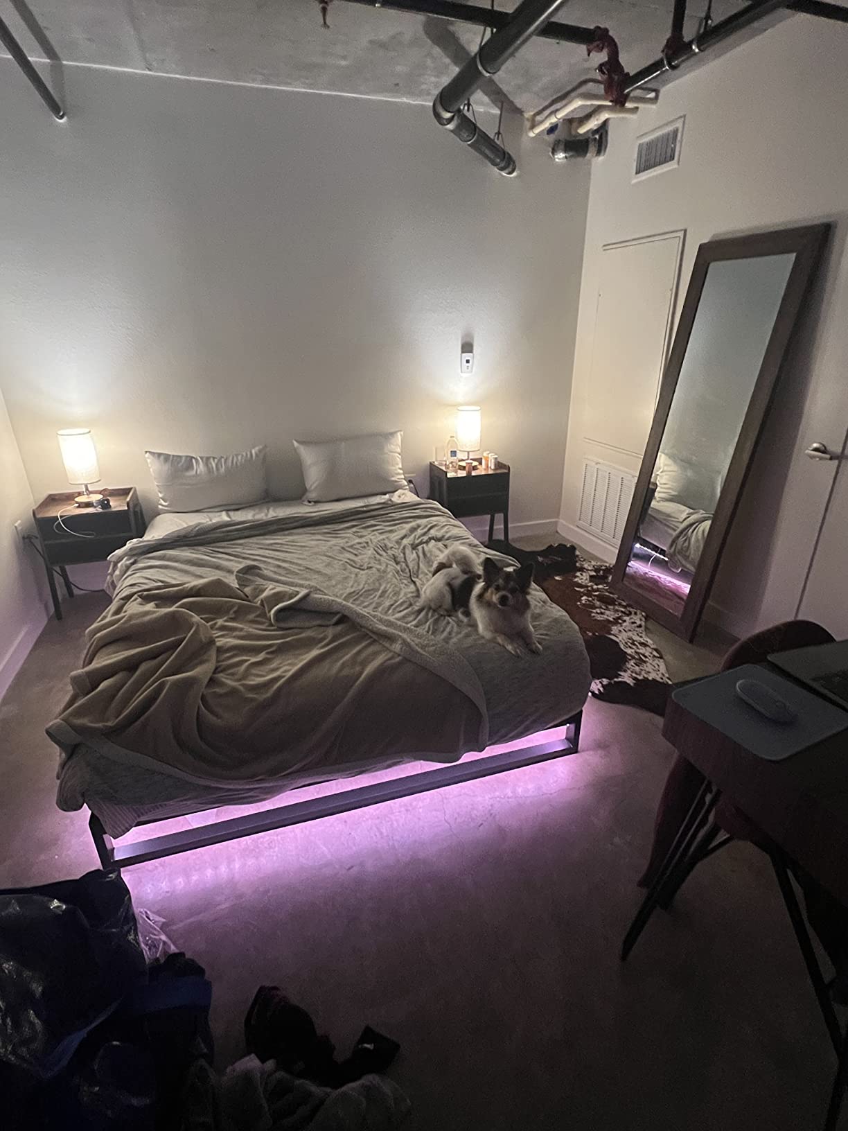 Govee 65.6ft RGBIC LED Strip Lights, Work with Alexa and Google Assistant | APP WIFI Control, DIY Segmented Color, 64 Scene Modes, 16 Million Colors, Music Sync, LED Lights for Bedroom (2 X 32.8ft) customer photo 2