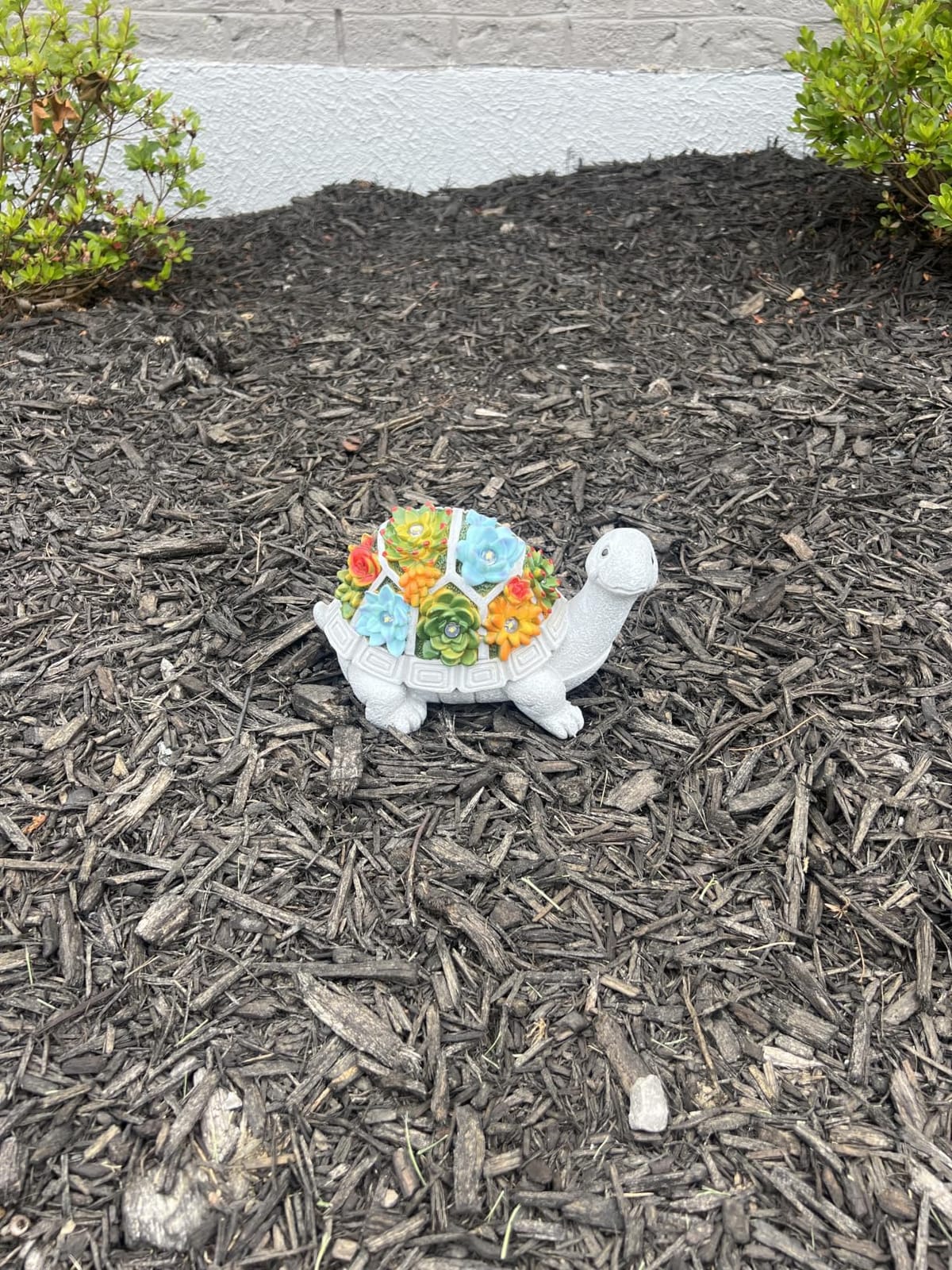 Nacome Solar Garden Outdoor Statues Turtle with Succulent | 7 LED Lights, Lawn Decor Statue for Patio, Balcony, Yard Ornament, Gifts for Mom Grandma Women customer photo 2