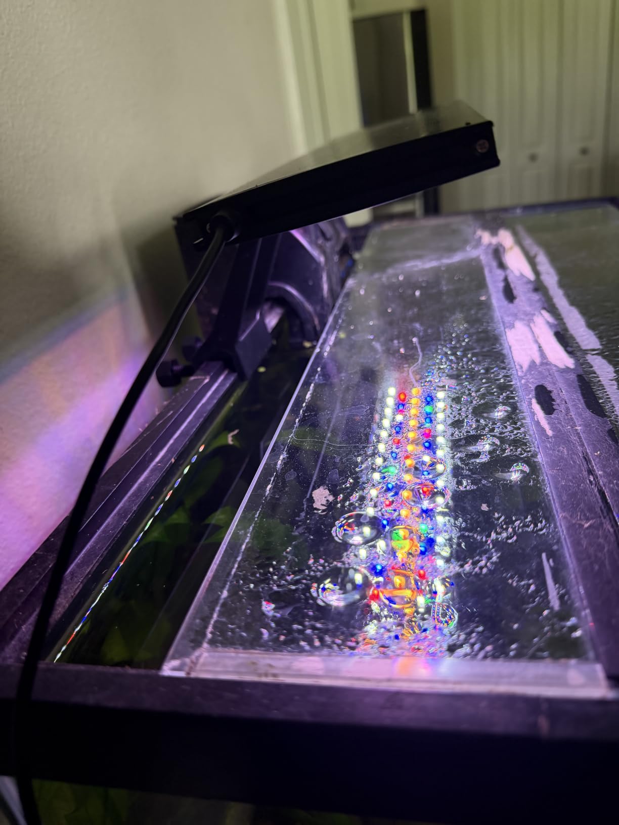 hygger Clip On 24/7 Lighting Aquarium LED Light, Sunrise-Daylight-Moonlight and DIY Mode, Adjustable Timer/Brightness Fish Tank Light with 7 Colors for Planted Tank (14W for 12~20in Tank) customer photo 2