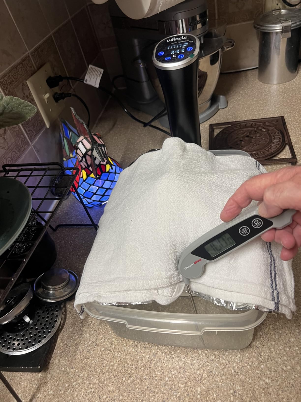 Sous Vide, Wancle Sous Vide Cooker 1100W IPX7 Waterproof Thermal Immersion Circulator customer photo 2