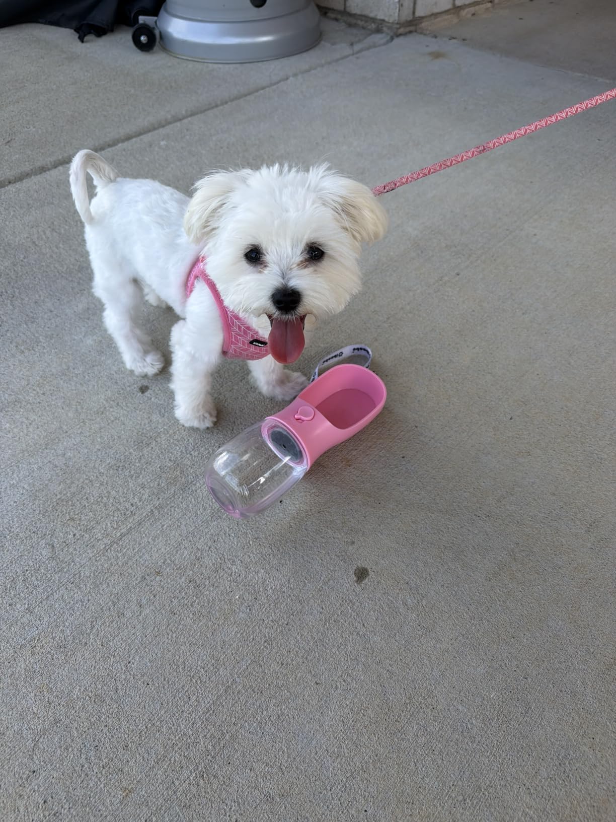 Cibaabo Dog Water Bottle Portable with Food Container & Filter for Travel customer photo 1