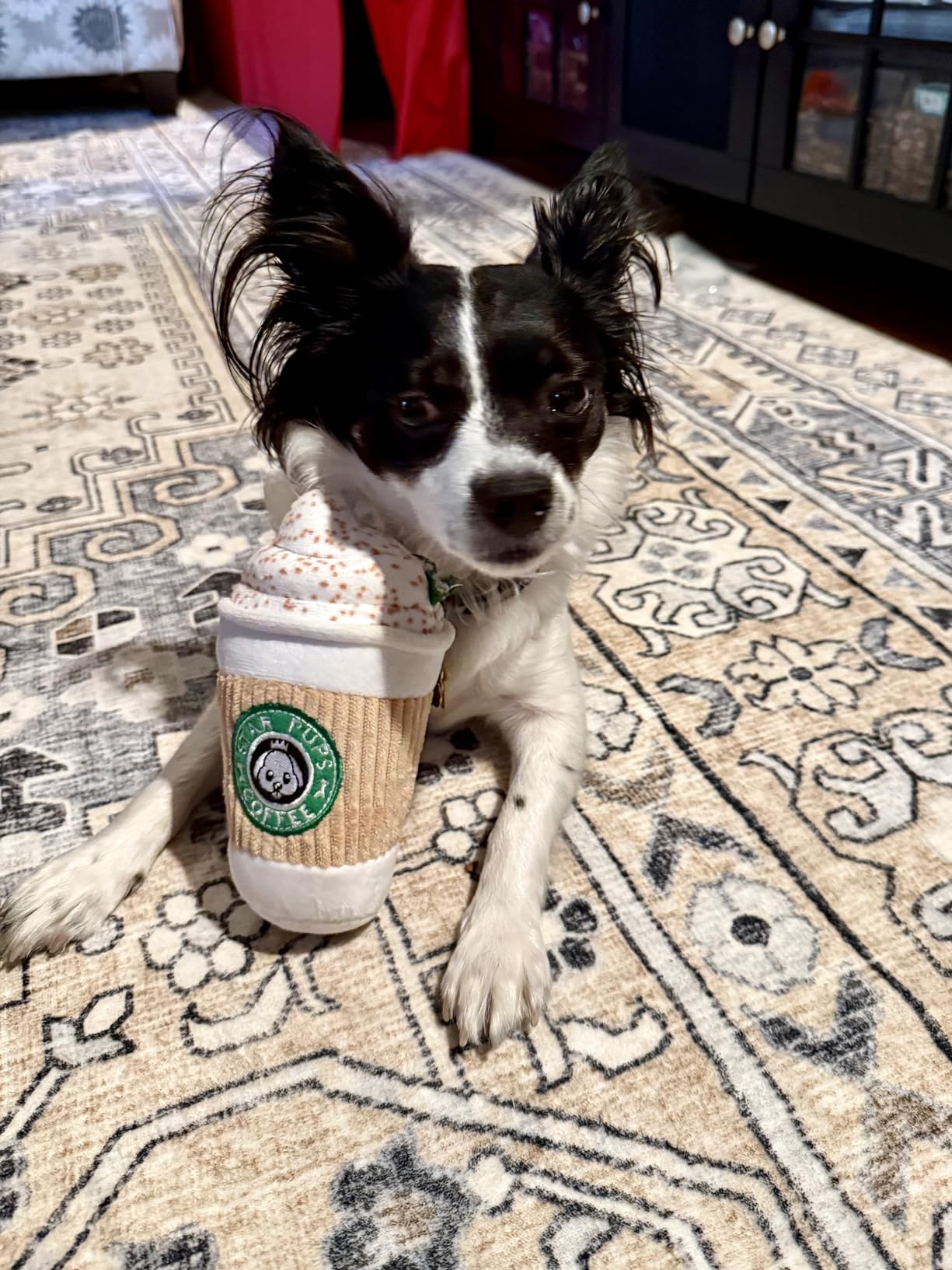 Nestpark Parody Star Pups Coffee Dog Toy Pup'kin Spice Latte customer photo 2