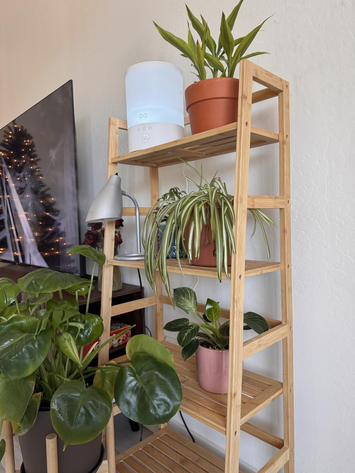 Bamboo Ladder Shelf, 4-Tier Wooden Ladder Bookshelf and Bookcase Organizer, 50