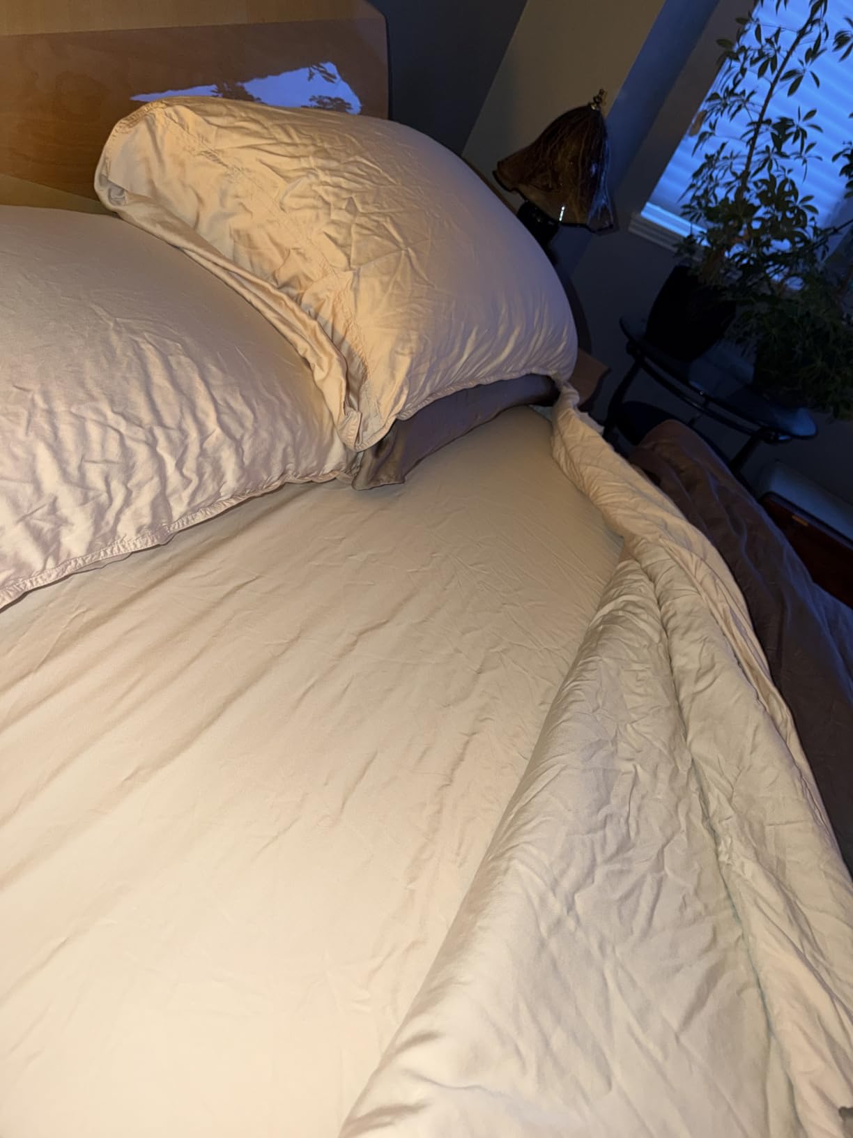 Bella Coterie Luxury Bamboo Viscose Queen Size Sheet Set | Organically Grown | Cooling | Ultra Soft & Breathable | 18