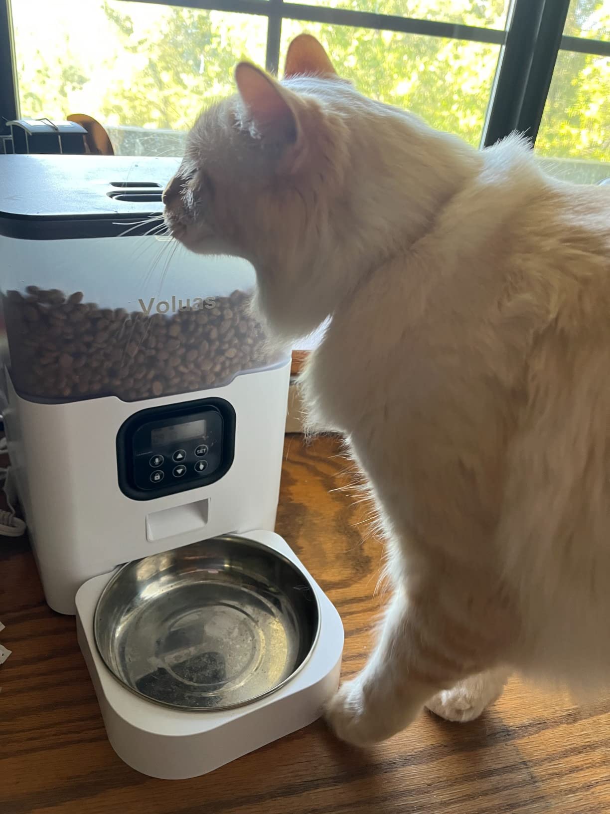 VOLUAS Automatic Cat Feeder, 4L Timed Dry Food Dispenser for Cats & Dogs | Programmable Portion Control, Up to 4 Meals Daily, Dual Power Supply, Power-Off Memory, 10-Second Voice Recorder customer photo 1