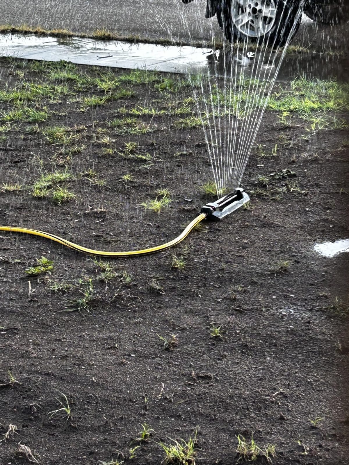 Eden 96213EDAMZ Weighted Essential Oscillating Sprinkler | Covers Up to 3,600 sq. ft., 16 Precision Nozzles, Adjustable Range, Turbo Drive Motor, Quick Connect Bundle customer photo 1