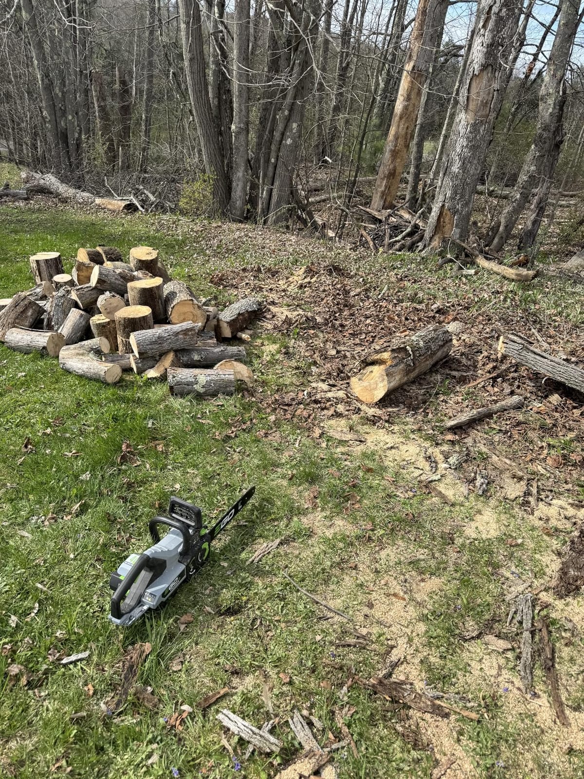 EGO POWER+ Chain Saw, 16