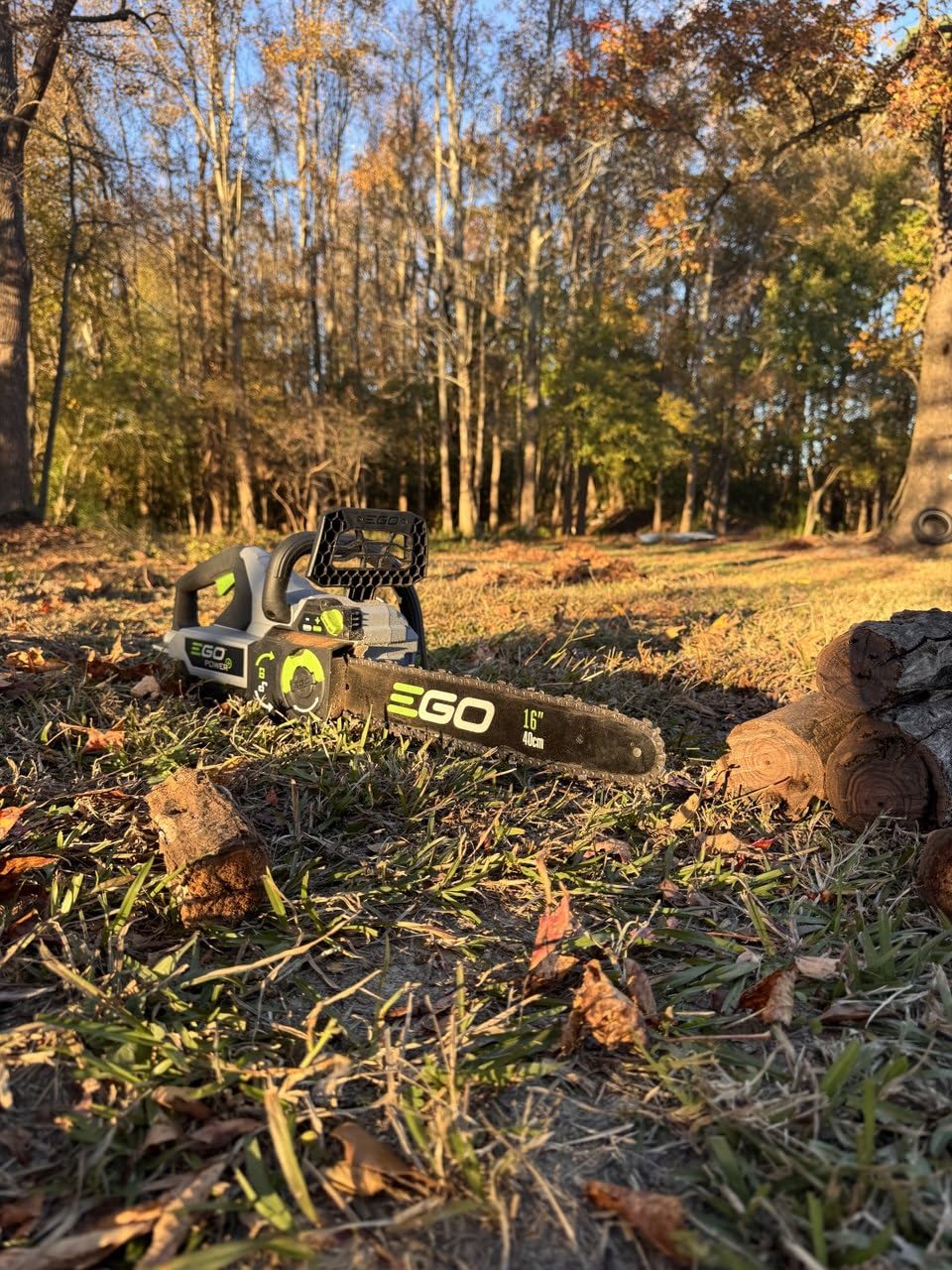 EGO POWER+ Chain Saw, 16