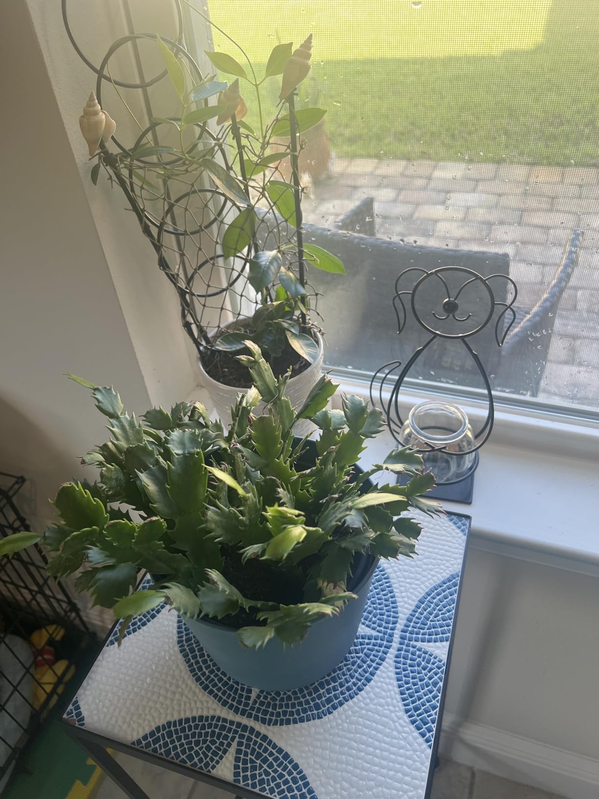 Desktop Cat Planter Propagation Station, Glass Vase Metal Stand | Cute Cat Metal Holder, Thoughtful Gift for Cat Lovers, Hydroponic Vase, Home Office Accent, Great for Small Plants & Cuttings customer photo 2