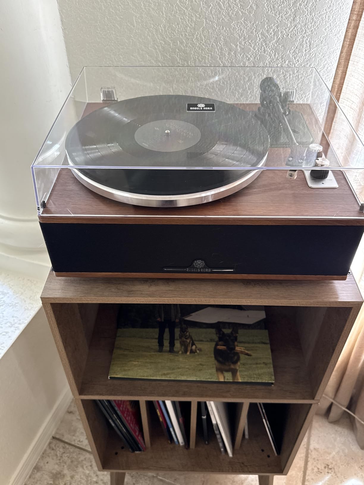 ANGELS HORN Vinyl Record Player, Bluetooth Turntable with Built in Speakers Phono Preamp, High Fidelity Turntables for Vinyl Records with Magnetic Cartridge AT-3600L, Belt Drive 2-Speed customer photo 2