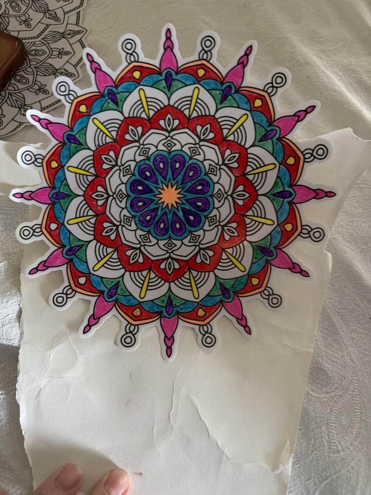Hula Home Stained Glass Mandala Art Kit - DIY Window Clings with Markers, 10 Suncatchers - Perfect Hobby for Adults, Kids, Teens & Seniors - Ideal Gift for Beginners, Women & Elderly customer photo 2