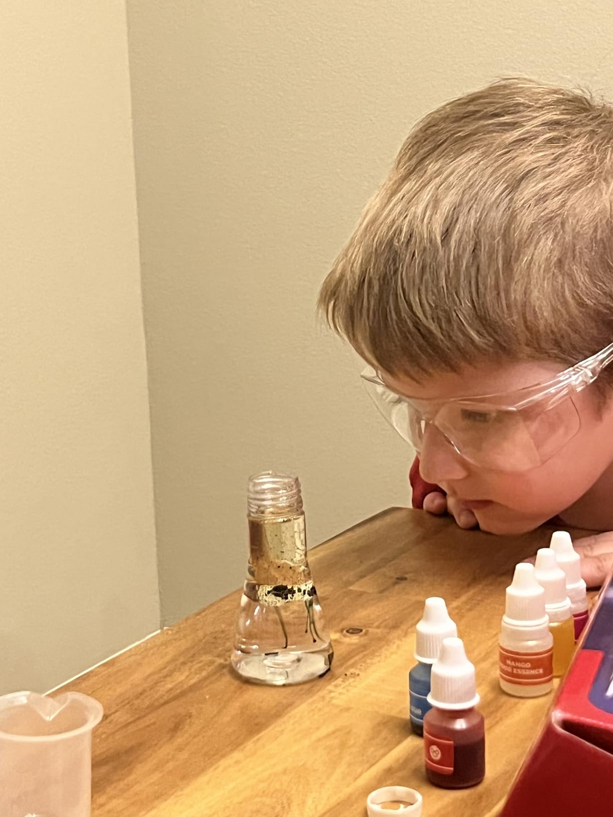 Doctor Jupiter My First Science Kit for Kids Ages 4-5-6-7-8 | Birthday Gift Ideas for 4+ Year Old Boys & Girls | Toy Stem Kit with 100+ Experiments | Learning & Educational Projects customer photo 2