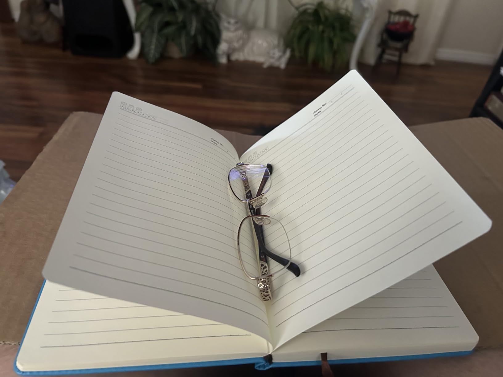 Biuwory Leather Journal Notebook, 256 Thick Lined Pages, Hardcover customer photo 1