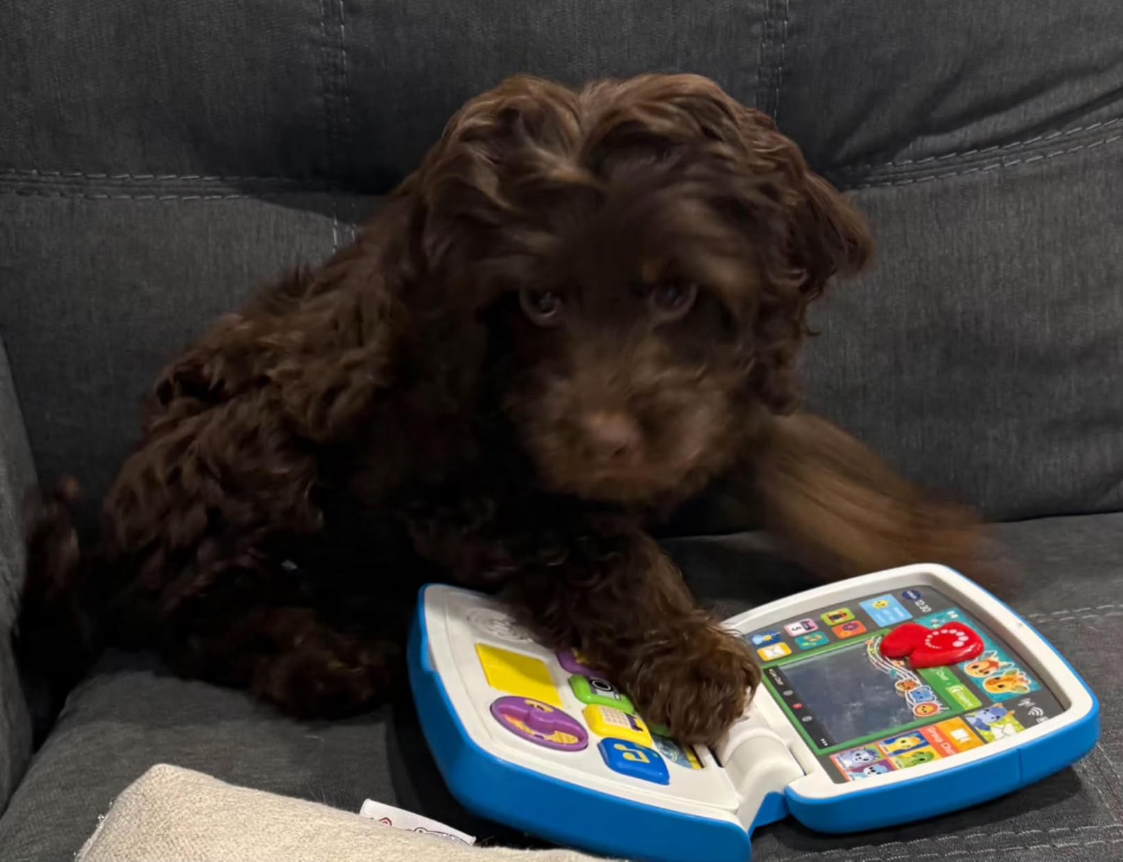 VTech Toddler Tech Laptop customer photo 1