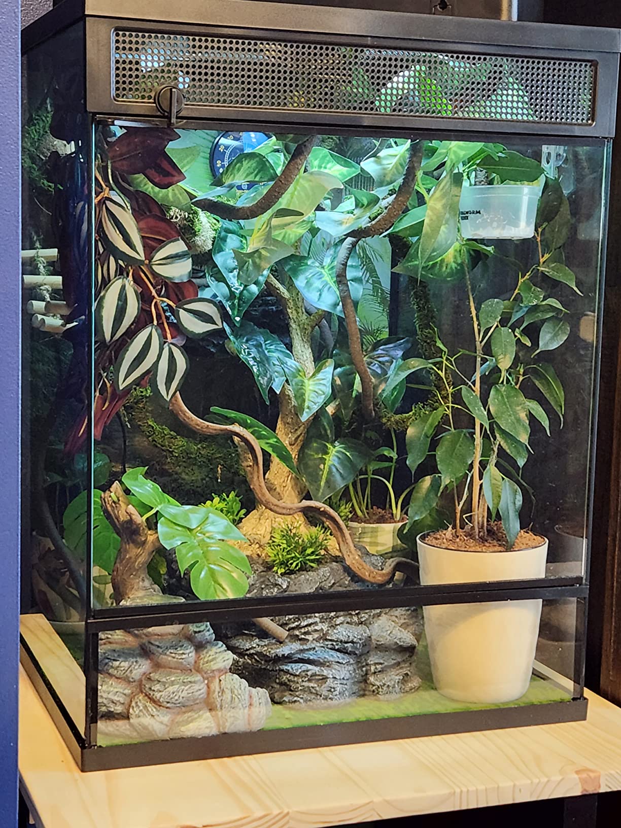 Smart Reptile Fogger Humidifiers with Humidity Control, Reptile Terrarium Humidifier Smart Touch, 3 Grades Adjustable Fogger with Hose for Reptile Amphibians Herps Snakes Plants customer photo 1