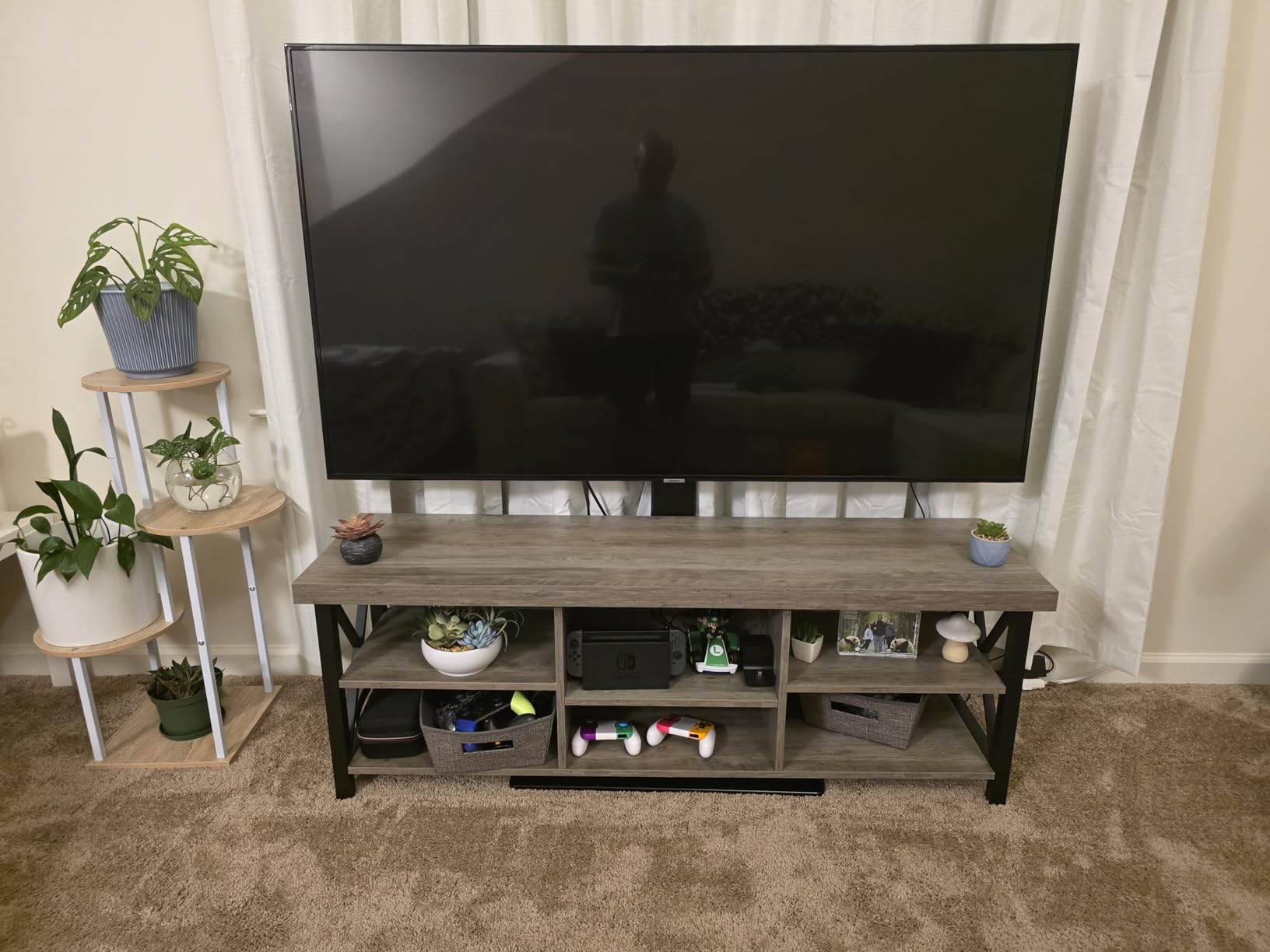 GreenForest TV Stand for 65 in TV, 55
