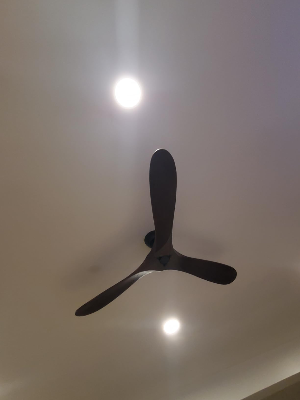 60 Inch Ceiling Fan Without Light, Wood Indoor Outdoor Ceiling Fans No Light for Patios Living Room Bedroom Porch Big Ceiling Fan for Flat Sloped Ceiling (Walnut) customer photo 2