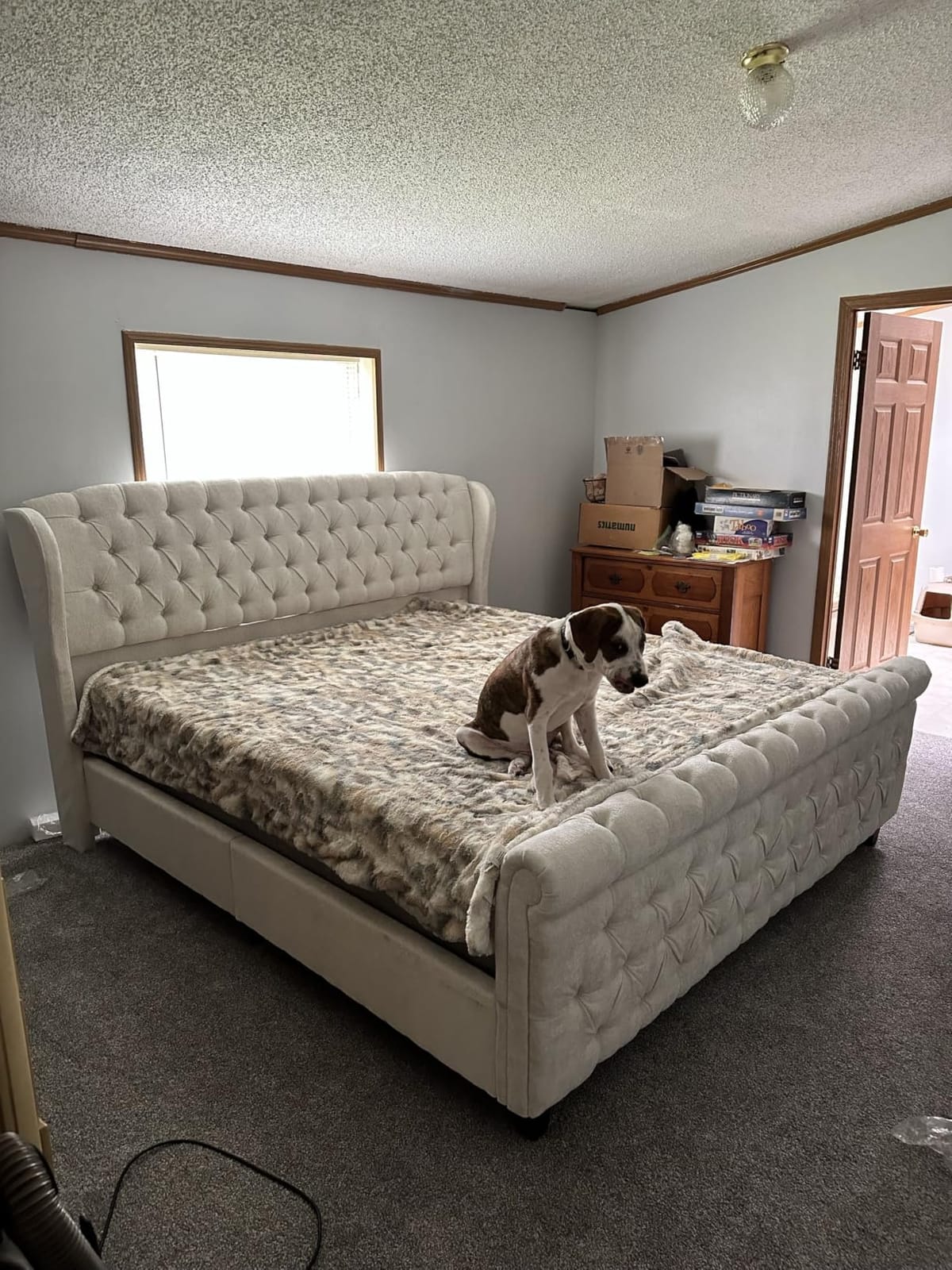 AMERLIFE Queen Size Platform Bed Frame, Chenille Upholstered Sleigh Bed with Scroll Wingback Headboard & Footboard/Button Tufted/No Box Spring Required/Cream customer photo 2