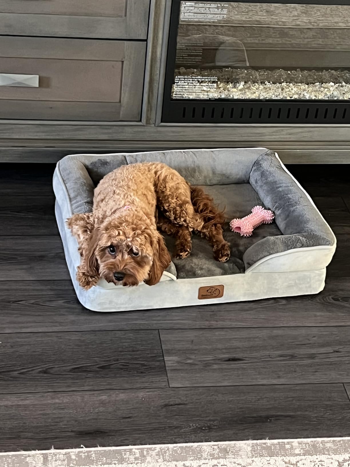 Bedsure Orthopedic Dog Beds Large Sized Dog with Removable Washable Cover customer photo 1
