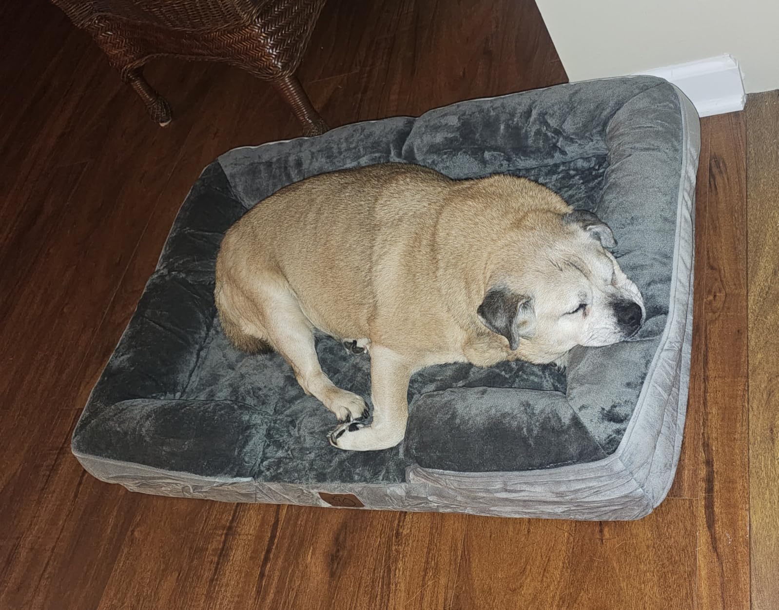 Bedsure Orthopedic Dog Beds Large Sized Dog with Removable Washable Cover customer photo 2