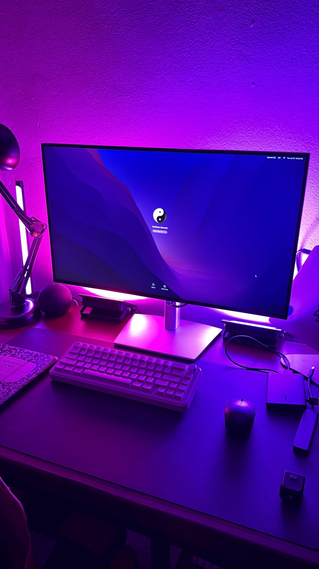 Dell UltraSharp U2723QE - LED Monitor - 27-3840 x 2160 4K, 4K UHD WLED LCD Monitor with USB-C Hub and Daisy Chain Support customer photo 2
