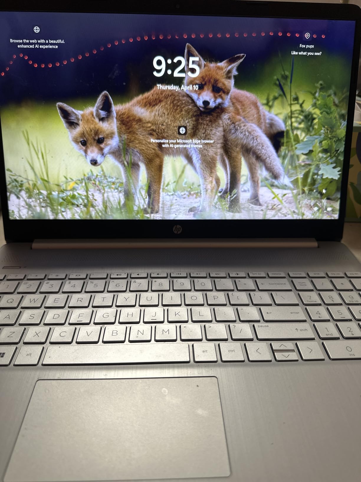 HP 15 inch Laptop, HD Display, AMD Ryzen 5 5500U, 8 GB RAM, 256 GB SSD, AMD Radeon Graphics, Windows 11 Home, 15-ef2099nr (2023) customer photo 1